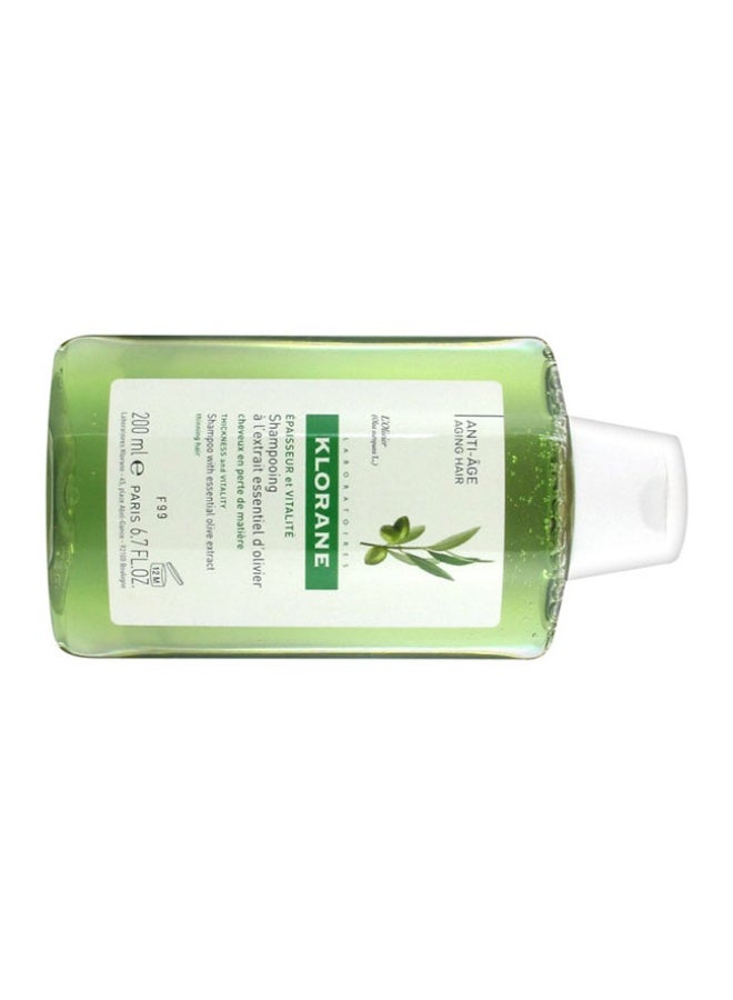 Klorane Olive Tree Shampoo 200ml - Image 2