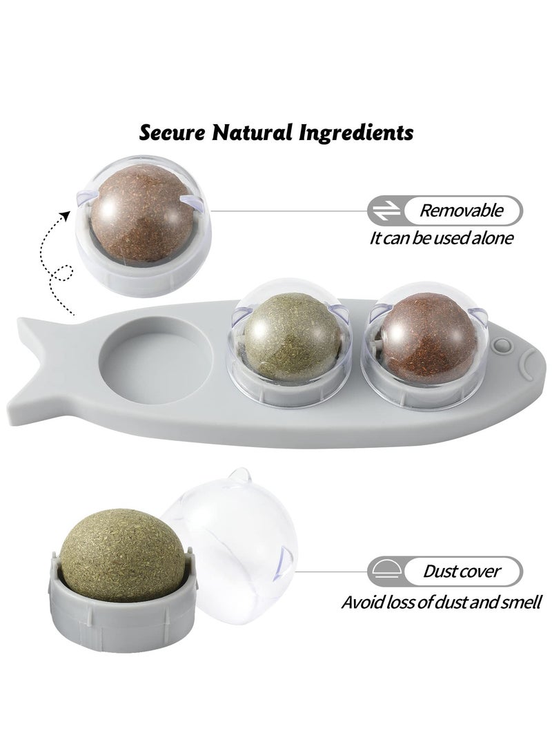 KASTWAVE Catnip Wall Toys, Natural Healthy Catnip, Rotatable Kitten Chew Toys, Teeth Cleaning Dental/Increase Appetite/Playing/Relieve Anxiety/Removal Hairball Cattoy - Image 5