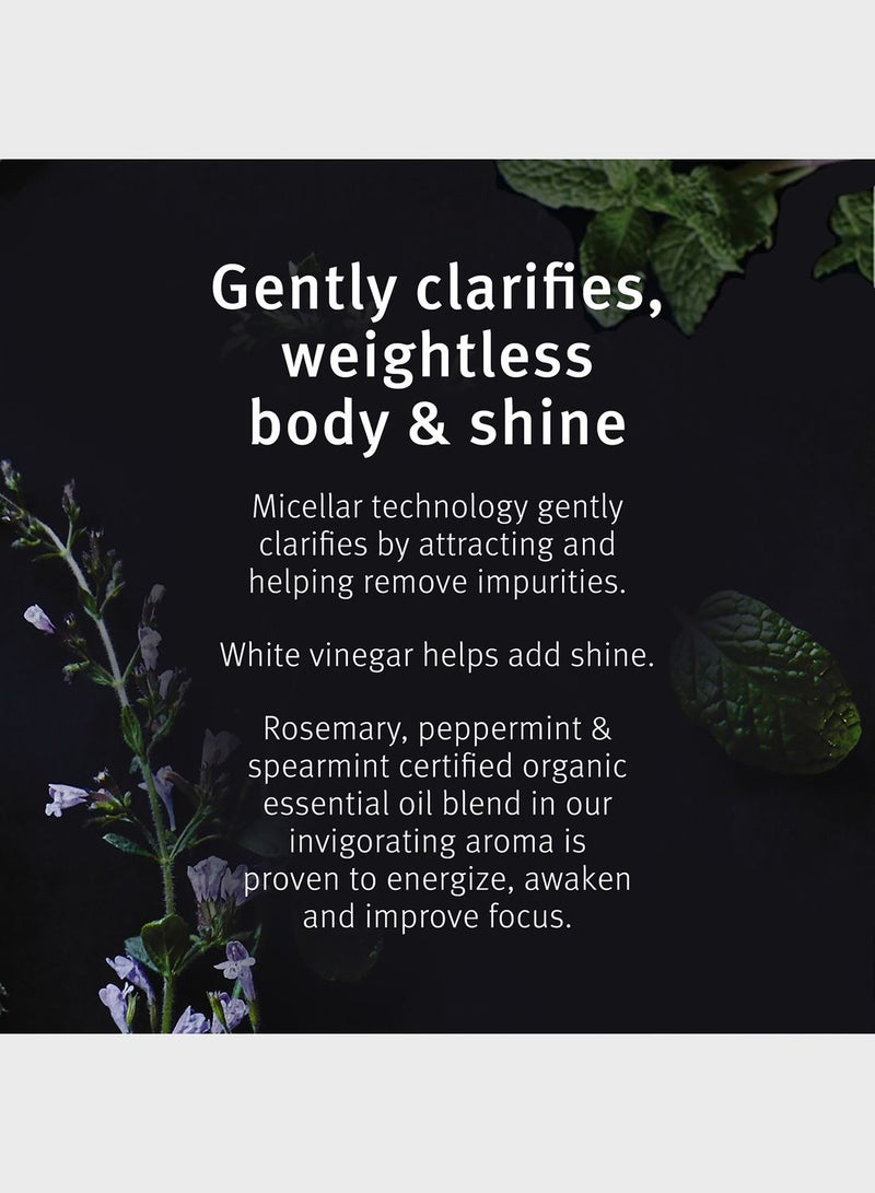 AVEDA Rosemary Mint Purifying Shampoo 250ml - Image 3