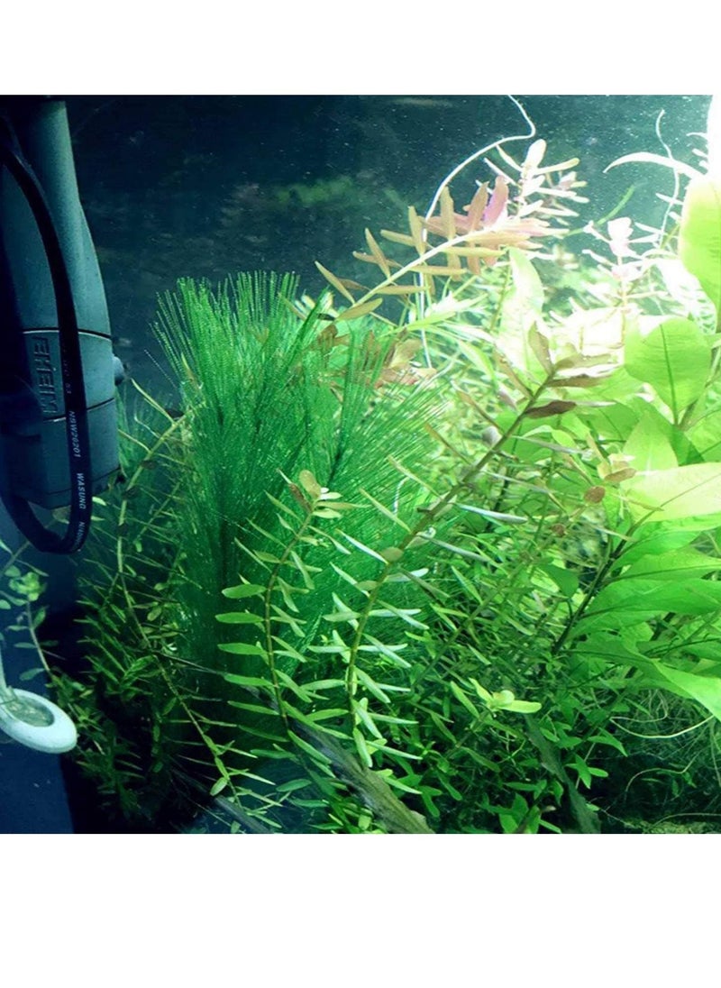 KASTWAVE 3 Pcs Artificial Seaweed Water Plants for Aquarium, Plastic Green Plants Aquarium Decorations for Fish Tank, Home Décor (30cm/11")  - Image 4