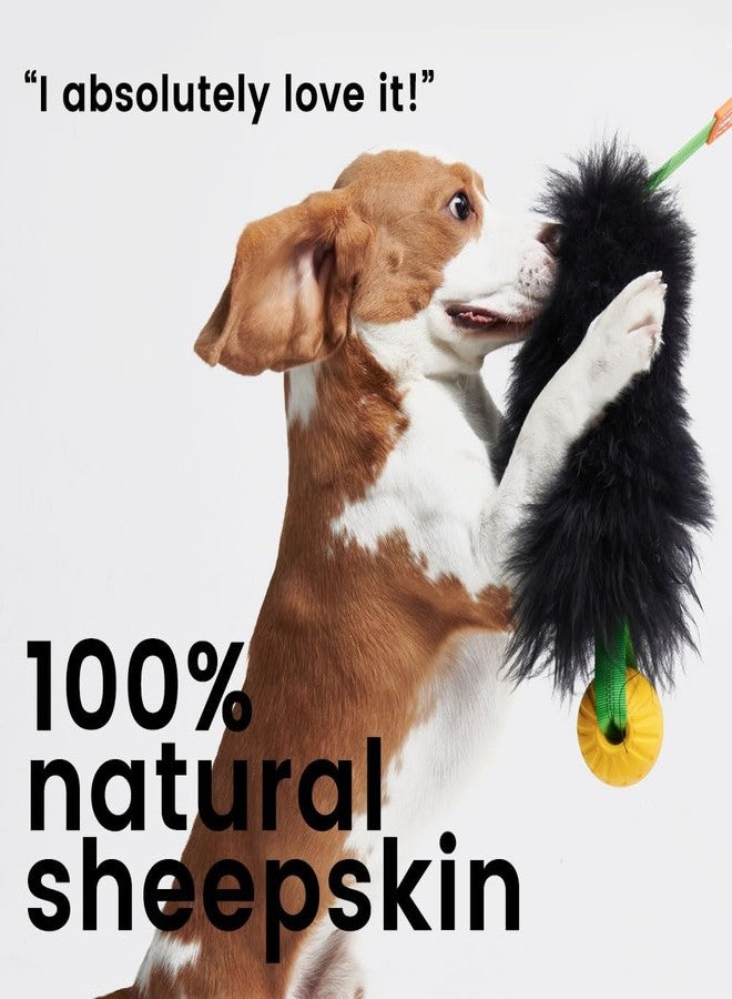HOWGO Dog Rope Toy,Dog Bungee Chaser Toy 100% Sheepskin,Sheep Smell Tug Toy for All Breeds (Orange, Long Without Ball) - Image 5