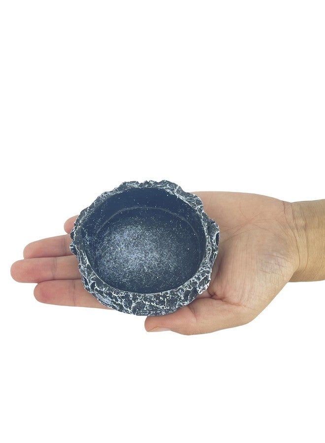 Generic 2PCS Reptile Water Dish Food Bowl Set Reptile Feeder Food and Water Dish with Feeding Tweezers Tong for Leopard Gecko Lizard Frog Snake Chameleon Tortoise  - Image 2