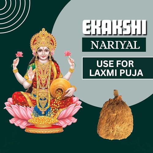 BrijBooti Ekakshi Nariyal - One Eye Coconut For Pooja 1 Piece - Image 2