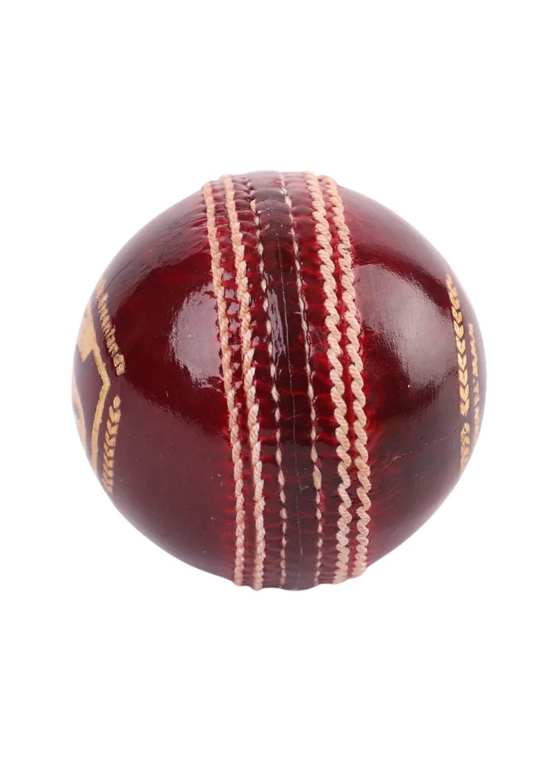 SG Club Red Cricket Leather Ball - Image 3
