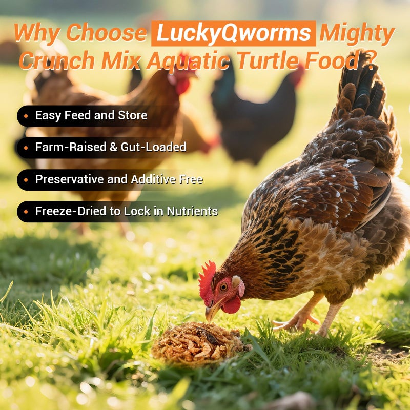 LuckyQworms Mighty Crunch Mix Aquatic Turtle Food - 1 Lbs Resealable Bag of High Protein Insect Blend, Dried Mealworms, River Shrimp, Crickets - for Turtles, Reptiles & Amphibians, Chicken, Birds - Image 3