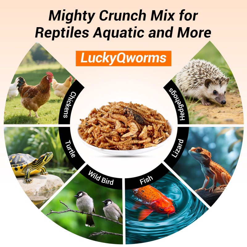 LuckyQworms Mighty Crunch Mix Aquatic Turtle Food - 1 Lbs Resealable Bag of High Protein Insect Blend, Dried Mealworms, River Shrimp, Crickets - for Turtles, Reptiles & Amphibians, Chicken, Birds - Image 5