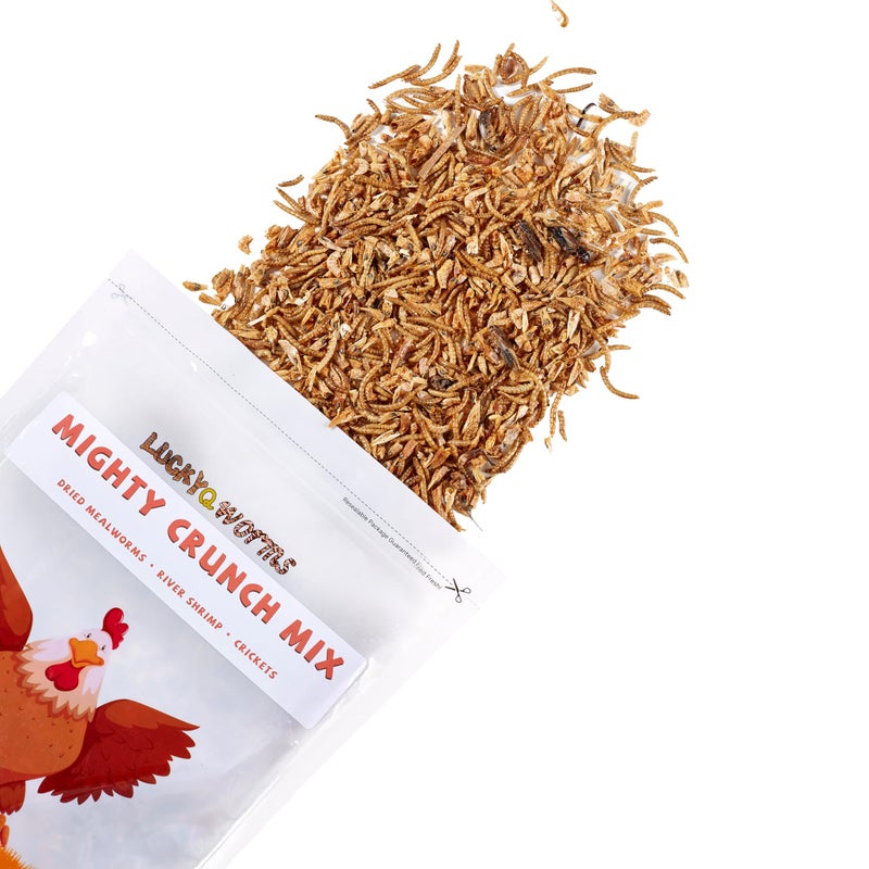 LuckyQworms Mighty Crunch Mix Aquatic Turtle Food - 1 Lbs Resealable Bag of High Protein Insect Blend, Dried Mealworms, River Shrimp, Crickets - for Turtles, Reptiles & Amphibians, Chicken, Birds - Image 2