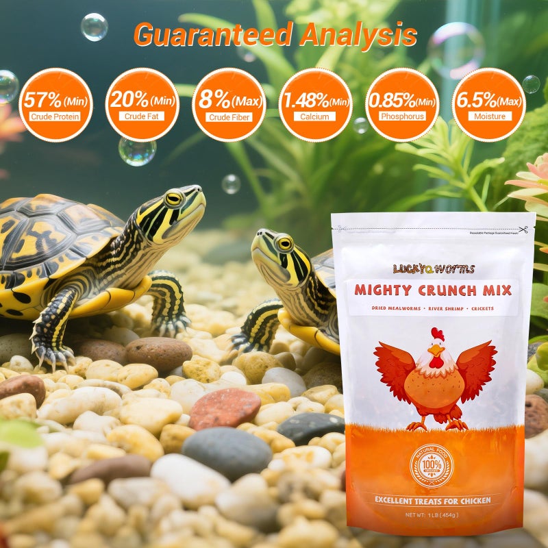 LuckyQworms Mighty Crunch Mix Aquatic Turtle Food - 1 Lbs Resealable Bag of High Protein Insect Blend, Dried Mealworms, River Shrimp, Crickets - for Turtles, Reptiles & Amphibians, Chicken, Birds - Image 4