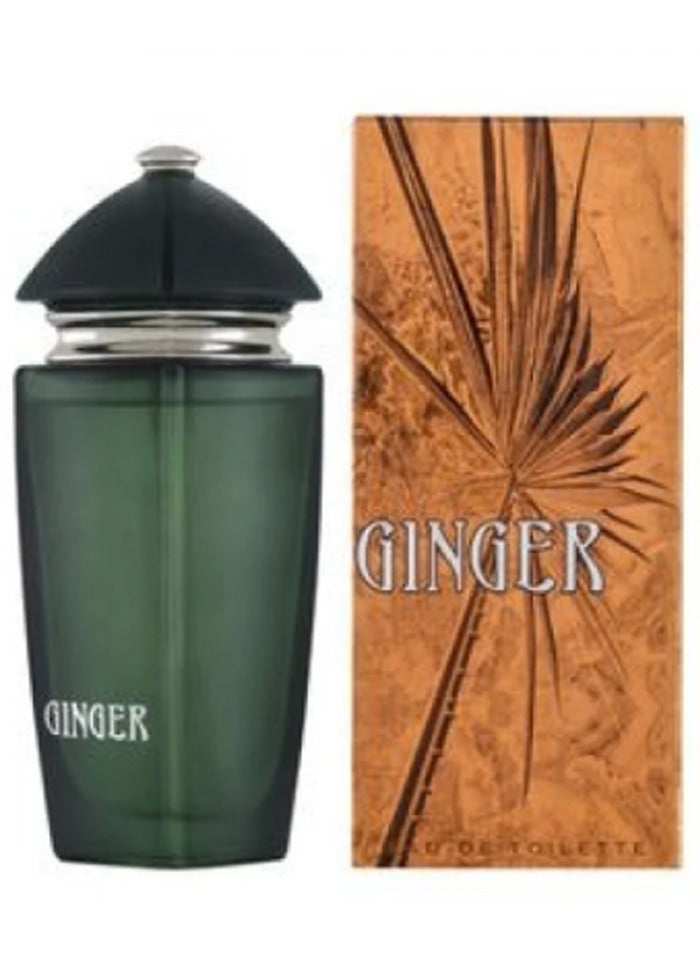 Ginger EDT 100 ml