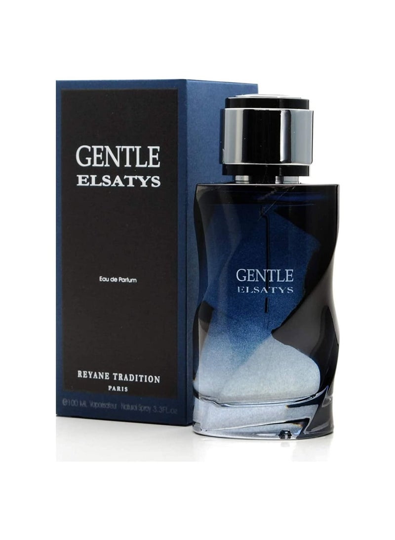 Reyane Tradition Gentle Elsatys Perfume for Men 100 ml Eau de Parfum