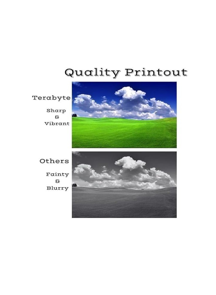 Terabyte خرطوشة حبر متوافقة CF400A 201A CF400A CF401A CF402A CF403A متوافقة مع LaserJet Pro M252 MFP M277 MF632Cdw (201A / CF400A / CF401A / CF402A / CF403A) - Image 3