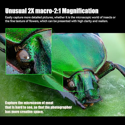 7artisans 120mm T29 Macro 2X Cine Lens Manual Fixed Focus Cine Lens Compatible for Leica Panasonic L Mount S1 S5 S9 Serise DCS1H DCS5M2LUMIX S9 - Image 3