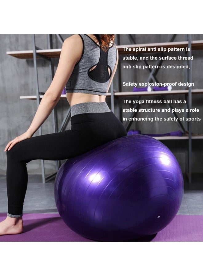 اسم المحتوى ناريلا كرة تمرين جيم 65 سم سميكة إضافية | مع - مضخة سريعة - كرة ولادة - لليوغا - البيلاتس - اللياقة البدنية - العلاج الطبيعي - الحمل والولادة - Image 2