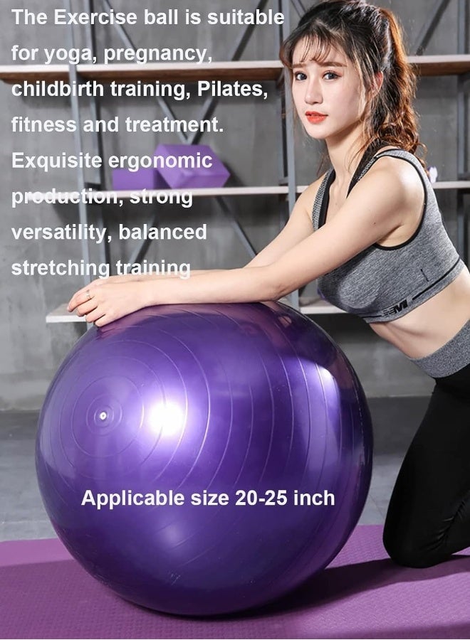 اسم المحتوى ناريلا كرة تمرين جيم 65 سم سميكة إضافية | مع - مضخة سريعة - كرة ولادة - لليوغا - البيلاتس - اللياقة البدنية - العلاج الطبيعي - الحمل والولادة - Image 5