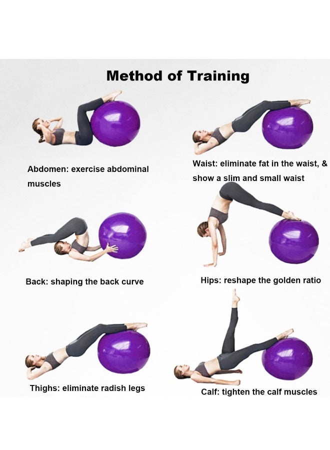 اسم المحتوى ناريلا كرة تمرين جيم 65 سم سميكة إضافية | مع - مضخة سريعة - كرة ولادة - لليوغا - البيلاتس - اللياقة البدنية - العلاج الطبيعي - الحمل والولادة - Image 4