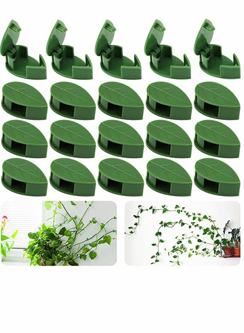 KASTWAVE 100PCS Garden Plant Climbing Wall Fixture Clips, Invisible Self-Adhesive Fixer Sticky Hook Plants Climbing Wall Support Clip for Supporting Stems Grow Upright, Vines Traction - Image 1