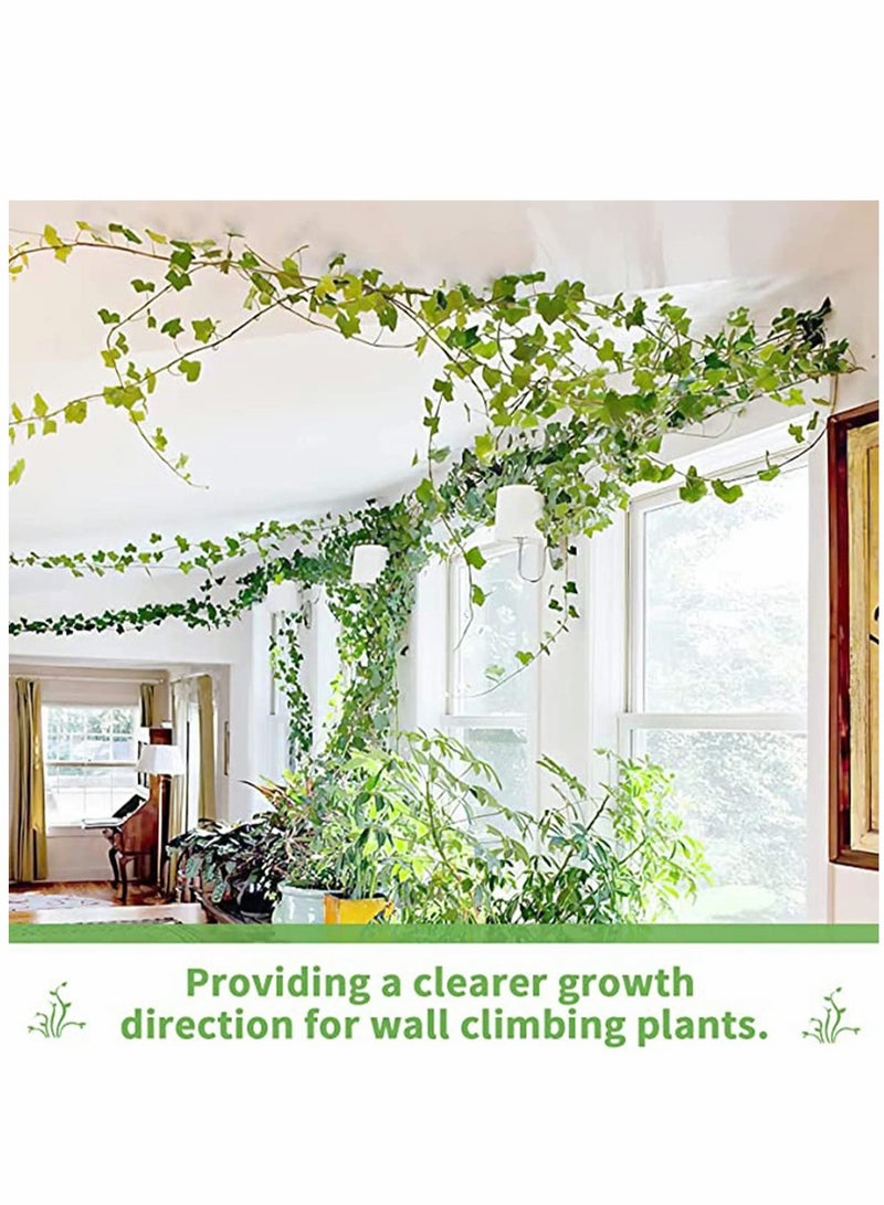 KASTWAVE 100PCS Garden Plant Climbing Wall Fixture Clips, Invisible Self-Adhesive Fixer Sticky Hook Plants Climbing Wall Support Clip for Supporting Stems Grow Upright, Vines Traction - Image 2