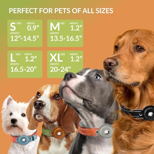 CollarDirect Airtag Dog Collar, CollarDirect, Reflective Dog Collar for Apple Air Tag for Large, Medium, and Small Dogs, Green, XL - Image 2