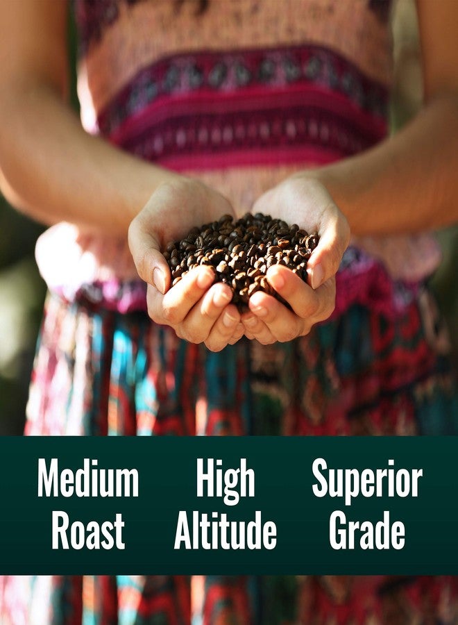 Natural Force Organic Mold Free Coffee, High CGA Coffee, Mycotoxin Free, Low Acidity, Incredible Taste & Aroma, Whole Bean Medium Roast, 12 oz - Image 5