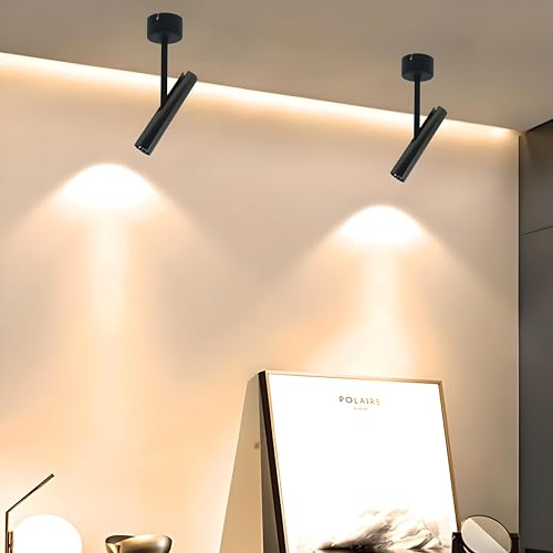 FILLISKA Aluminium 10 Watt Led Surface/Spot Light, Shockproof Alluminium Body & Antiglare Diffuser,Warmwhite (Polished Black-795) - Image 1