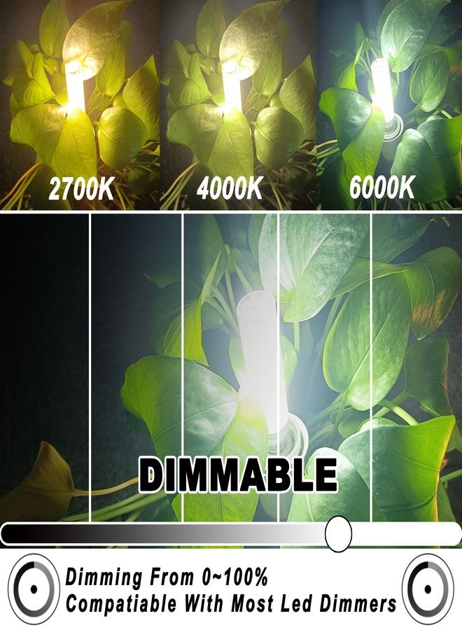 مصابيح LED E11، 120 فولت، 100 واط، تعادل مصابيح الهالوجين، قابلة للتعتيم، قاعدة صغيرة T3 وT4، مصباح JDE11، ضوء نهاري أبيض بارد 6000 كلفن، 10 واط، 1000 لومن، E11، مناسبة للثريات، الشمعدانات، مراوح السقف، إضاءة الخزائن، عبوة من 5 مصابيح - Image 2