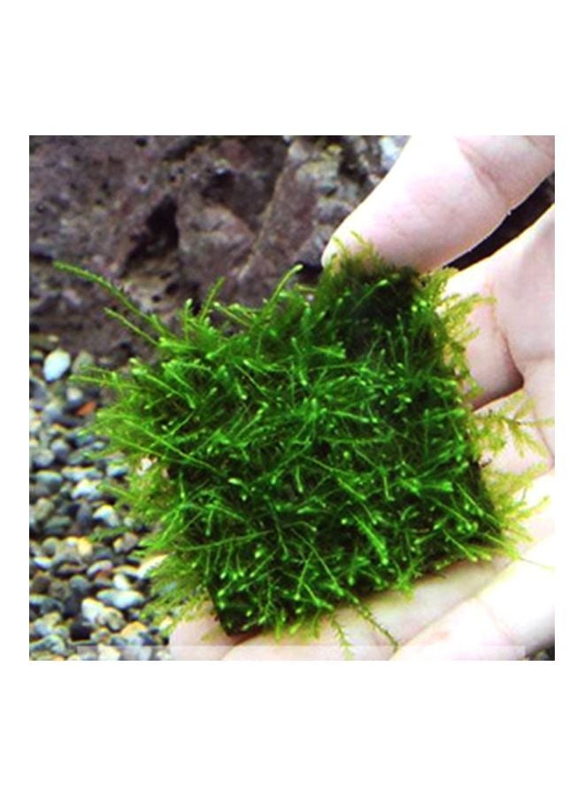 NIBEMINENT Stainless Steel Woven Wire Mesh Silver 8x8cm - Image 5