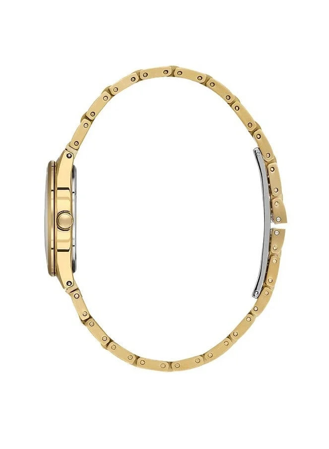 BIGOTTI Bigotti - Raffinato Women Watch | Stainless Steel Band |Brass Case | Analog | Round Dial | Mineral Glass | Japanese Quartz | Water Resistant 30 Meters