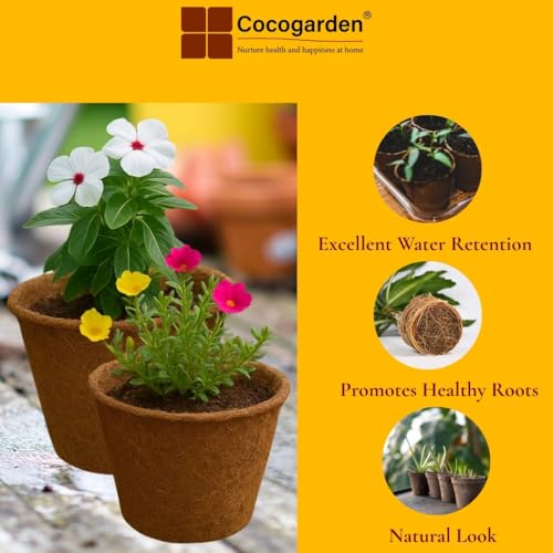 cocogarden Natural Coco Coir Pots Planters for Plants (6 inch, Pack of 10) - Image 4