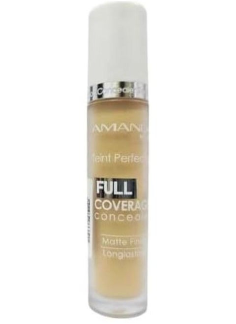 Amanda Milano Teint Perfection Full Coverage Concealer 06