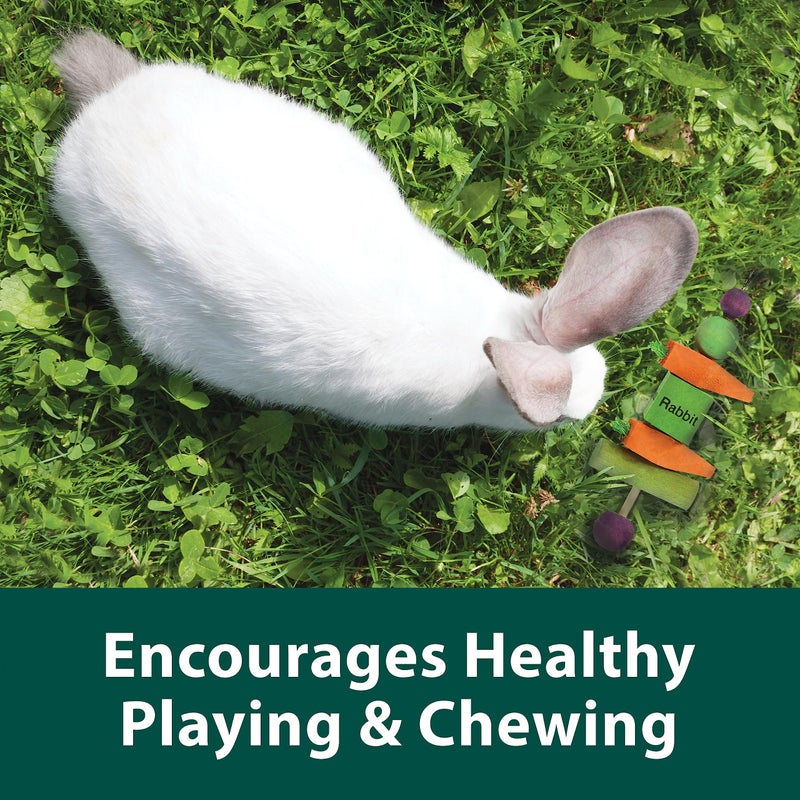 Kaytee Perfect Chews Hanging Wood Chew Toy for Pet Rabbits and Other Small Animals - Image 5