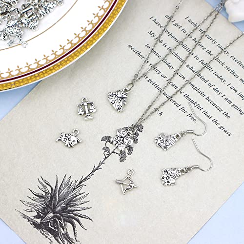 JIALEEY Zodiac Sign Charms Smooth Tibetan Silver Metal Horoscope Charms Pendants DIY for Necklace Bracelet Jewelry Making and Crafting, 9 Sets 108 PCS - Image 5