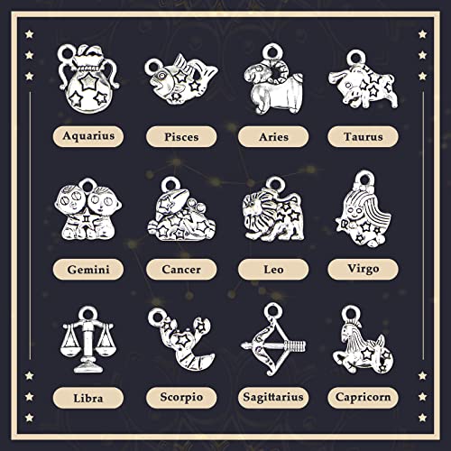 JIALEEY Zodiac Sign Charms Smooth Tibetan Silver Metal Horoscope Charms Pendants DIY for Necklace Bracelet Jewelry Making and Crafting, 9 Sets 108 PCS - Image 2