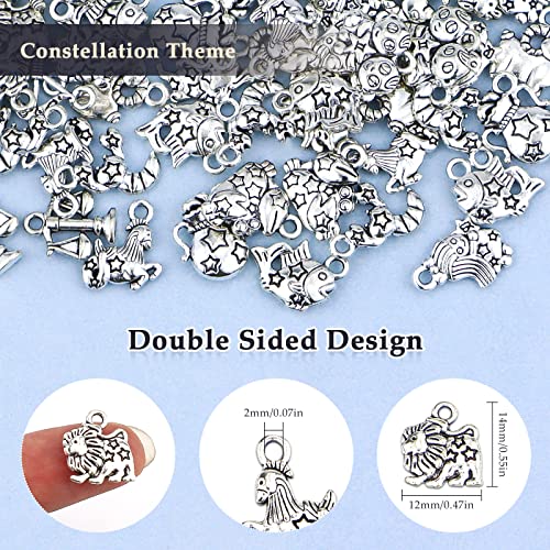 JIALEEY Zodiac Sign Charms Smooth Tibetan Silver Metal Horoscope Charms Pendants DIY for Necklace Bracelet Jewelry Making and Crafting, 9 Sets 108 PCS - Image 4
