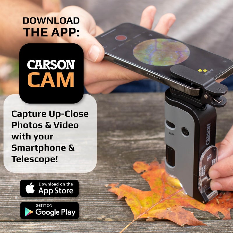 Carson Carson MicroFlip 100x-250x, LED UV Pocket Microscope with Smartphone Clip, STEM Education (MP-250)  - Image 2