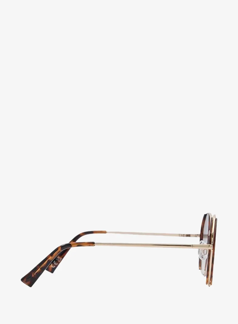 Aldo  Arriaa Ladies Brown Sunglass for Women | Best Price UAE
