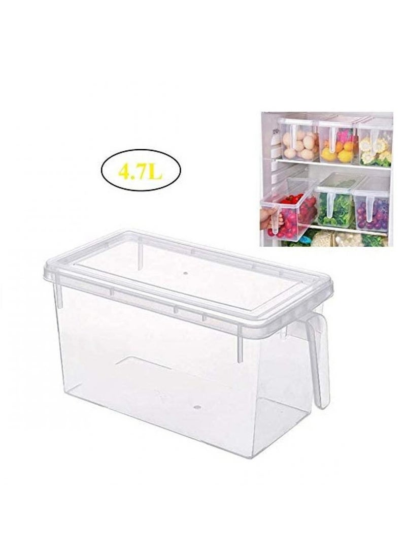 AIWANTO 4-Piece Fridge Plastic Food Storage Containers With Lids And Handle Plastic Kitchen Refrigerator Fridge Stackable Desk Cabinet Food Fruit Eggs Vegetables Drawer Storage Organizer Box Containers Clear 31x15x16cm - Image 5