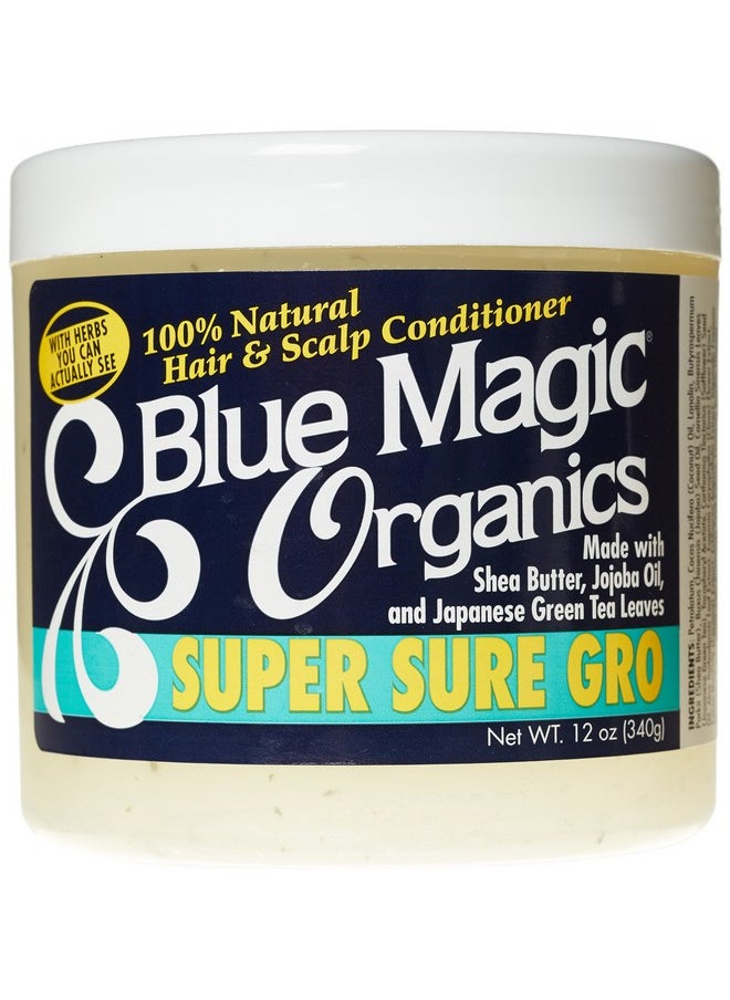 BLUE MAGIC Blue Magic Super Sure Hair Growth Product, 12 Ounce 