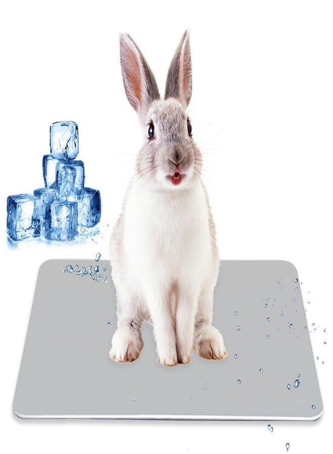 WELLYUK Aluminum Pet Cooling Pad for Bunny, Cat, Rabbit, Hamster, Guinea Pig and Other Small Pets, 11.8" X 7.9" Summer Animal Cool Mat Plate Ice Bed Cage Accessories - Image 1