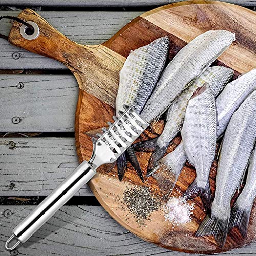 PRIMEFAIR Stainless Steel Living Fish Scale Shaver Fish Scale Scraper for Fast Cleaning Fish Skin Peeler Skin Peeler Fish Tools Kitchen Gadget (4) - Image 5