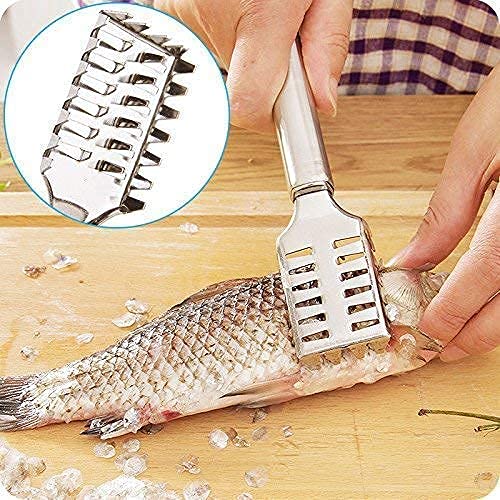 PRIMEFAIR Stainless Steel Living Fish Scale Shaver Fish Scale Scraper for Fast Cleaning Fish Skin Peeler Skin Peeler Fish Tools Kitchen Gadget (4) - Image 3