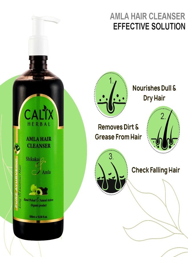 كلاليكس هيربال شامبو كاليكس العشبي الأيورفيدي والعضوي لتنظيف الشعر بالأملا، لإزالة الأوساخ والدهون من الشعر وفروة الرأس | لنمو الشعر والعناية الكاملة به، مناسب للرجال والنساء وجميع أنواع الشعر - 500 مل - Image 3
