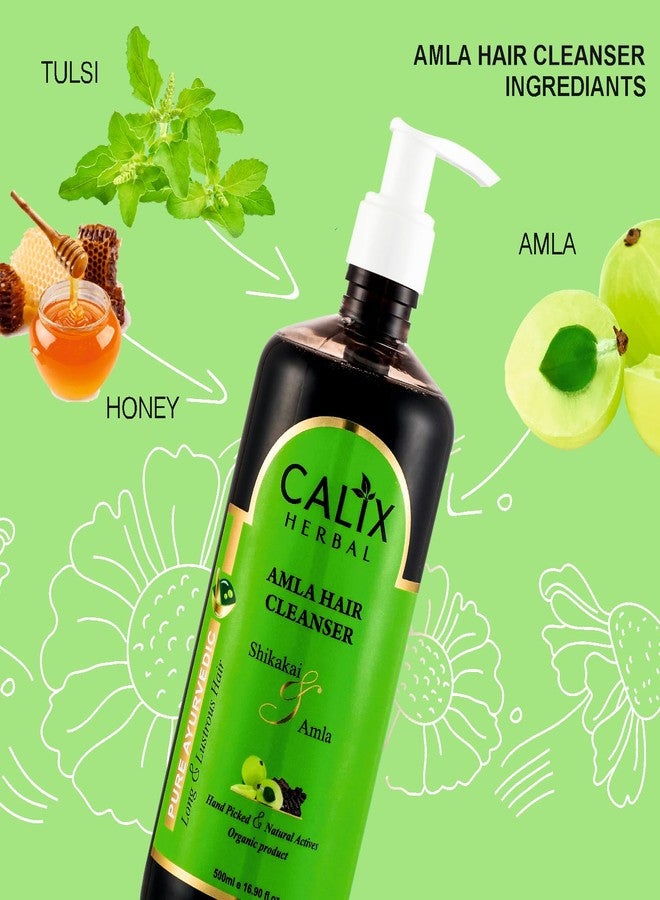 كلاليكس هيربال شامبو كاليكس العشبي الأيورفيدي والعضوي لتنظيف الشعر بالأملا، لإزالة الأوساخ والدهون من الشعر وفروة الرأس | لنمو الشعر والعناية الكاملة به، مناسب للرجال والنساء وجميع أنواع الشعر - 500 مل - Image 4