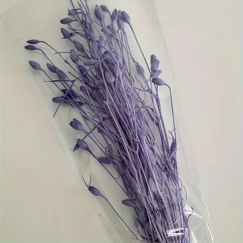 Bluejw Immortal Bellflower Fruit & Corn Poppy Dried Plants for Retail, Home, Christmas & Thanksgiving Decoration - Image 1
