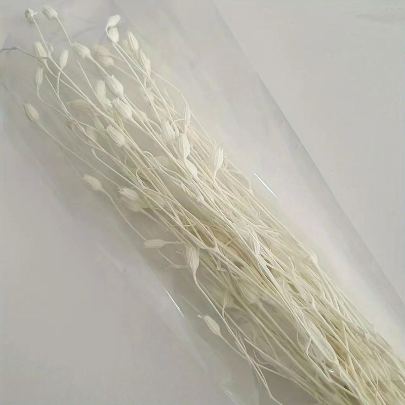 Bluejw Immortal Bellflower Fruit & Corn Poppy Dried Plants for Retail, Home, Christmas & Thanksgiving Decoration - Image 5