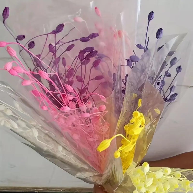Bluejw Immortal Bellflower Fruit & Corn Poppy Dried Plants for Retail, Home, Christmas & Thanksgiving Decoration - Image 4