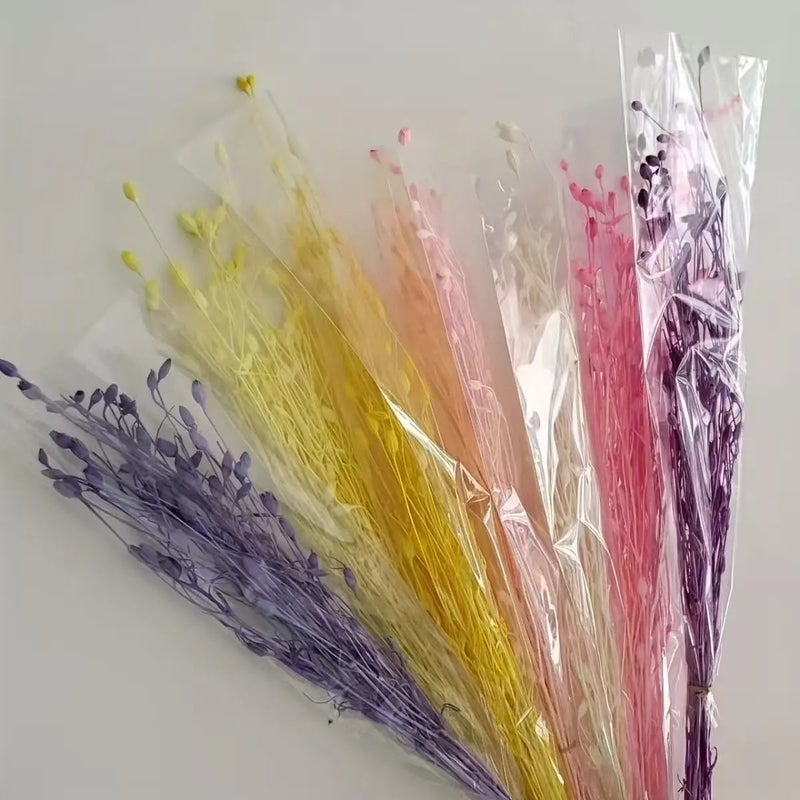 Bluejw Immortal Bellflower Fruit & Corn Poppy Dried Plants for Retail, Home, Christmas & Thanksgiving Decoration - Image 3