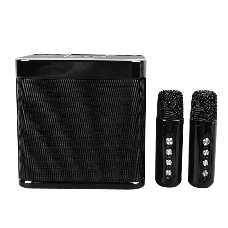 Portable Karaoke Speaker with 2 Microphones Powerful Subwoofer for Home Party Camping Outdoor - Image 5