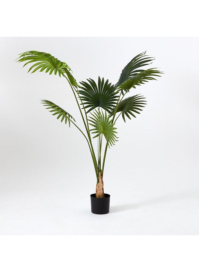 Home Box Teodoara Fan Palm Tree 160 cm  - Image 5