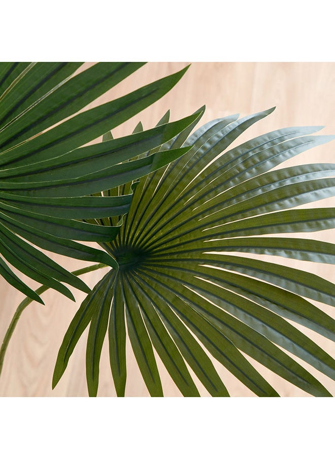 Home Box Teodoara Fan Palm Tree 160 cm  - Image 4
