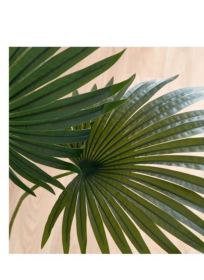 Home Box Teodoara Fan Palm Tree 160 cm  - Image 3